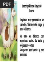 Descripción de La Llama