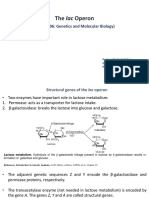 The Lac Operon: (BIOT 4006: Genetics and Molecular Biology)