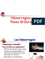 Hemorragies, Plaies, Brulures