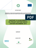 Rapport Annuel 2010 GCP-RAF-408-EC