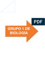 Mapa Sobre Los Materias de Laboratorio