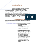 Vestibulocochlear Nerve