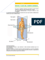 Planos Anatómicos y Ejes Del Cuerpo Humano