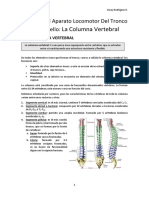 Tema 2 Anatomía, CAFYD