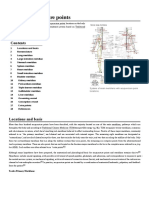 List of Acupuncture Points: System of Main Meridians With Acupuncture Point Locations