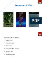 DNA Structure