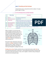 Breathing and Gas Exchange: Respiration