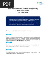 Tarea Diplomado Paula