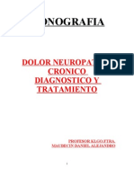 MONOGRAFIA DOLOR CRONICO Prof - Maubecin Daniel Alejandro