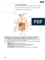 Ciencias 6 Ano