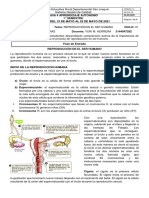 Guía 4 Biología Ciclo IV