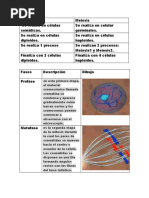 Taller Ciencias ADN