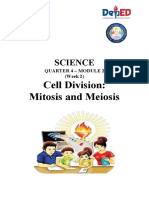 Science: Cell Division: Mitosis and Meiosis