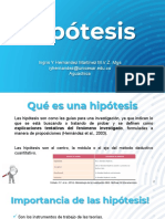 3.2. Hipótesis.