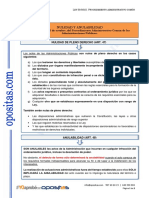 5 E - LPAC Nulidad y Anulabilidad - v01 - jj20