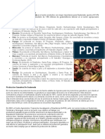 Producción Agrícola de Guatemala