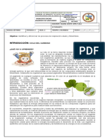 GUIA 2 Biología 7° 3 Periodo