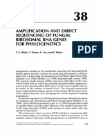 1990 - White TJ Et Al., AMPLIFICATION AND DIRECT SEQUENCING OF GUNGAL RIBOSOMAL RNA GENES FOR PHYLOGENETICS