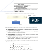 Evaluacion de Lipidos