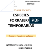 Informe Cebada Terminado