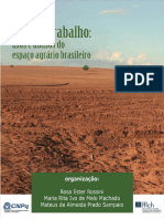 Terra e Trabalho Usos e Abusos Do Espaço Agrário Brasileiro Rossini 86467