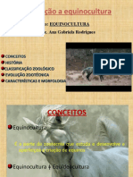 Vdocuments - MX - Introducao A Equinocultura