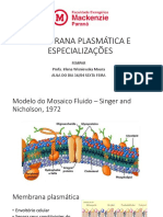 Membrana Plasmática LJ Glicocálice e Especializações 69