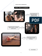 Tema 2 Graficos Criminalistica