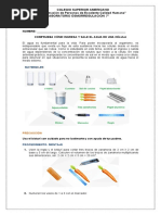 Laboratorio Osmorregulacion