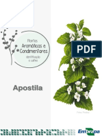 Apostila Aromaticas e Condimentares