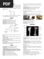 Mini Apostila Osteologia