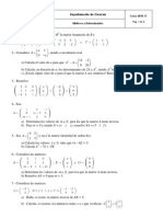 Matrices y Determinantes 10 - 11