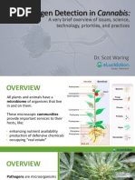 Pathogen Detection in Cannabis:: A Very Brief Overview of Issues, Science, Technology, Priorities, and Practices