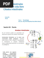 Amebas Intestinales