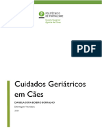 Daniela Boeiro Borralho-Cuidados Geriatricos em Cães