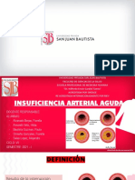 Insuficiencia Arterial Aguda