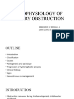 Pathophysiology of Urinary Obstruction