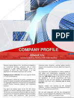 Elysium Capital Company Profile