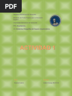 Actividad 1 SEEA