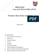 Skull, Brain and Orbit (Practical)