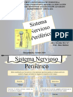 Sistema Nervioso Periferico Mapa Conceptual