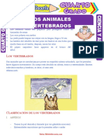 Los Animales Vertebrados para Cuarto Grado de Primaria