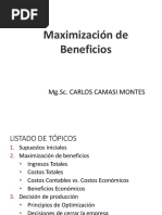 Maximización de Beneficio