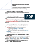 Describe Two Important Photosynthetic Adaptations That Minimize Photorespiration