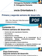 2.2 Conferencia 3 Primera y Segunda Semana de 6VF - AV