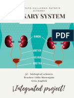 Draft Phase 1 Integrated Project