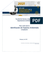 Guia Paso A Paso para Identificación de Impacto