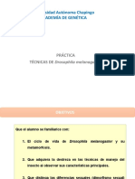 Técnicas de Drosophila