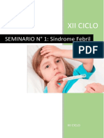 Seminario N°1 - Sindrome Febril