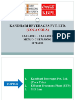 Kandhari Beverages Pvt. LTD.: (Coca Cola)